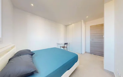 Logement entier à 21 Rue Louis Braille, 69100 Villeurbanne, France, image 17 de 25