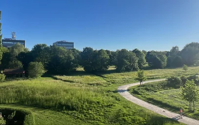 Gesamte Unterkunft in der Horstmarer Landweg 129, 48149 Münster-Gievenbeck, Deutschland, bild 6 von 17