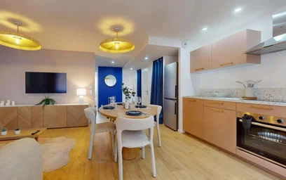 Habitación privada en 33 Cr Dr Jean Damidot, 69100 Villeurbanne, France, imagen 16 de 18