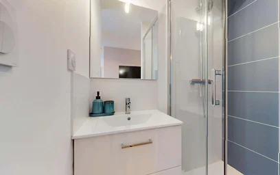 Habitación privada en 33 Cr Dr Jean Damidot, 69100 Villeurbanne, France, imagen 7 de 18