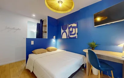 Habitación privada en 33 Cr Dr Jean Damidot, 69100 Villeurbanne, France, imagen 1 de 20