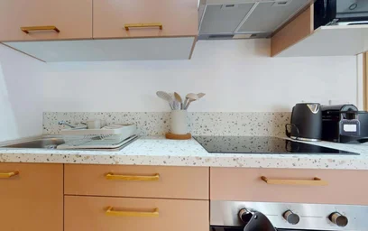 Habitación privada en 33 Cr Dr Jean Damidot, 69100 Villeurbanne, France, imagen 13 de 20