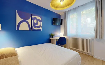 Habitación privada en 33 Cr Dr Jean Damidot, 69100 Villeurbanne, France, imagen 3 de 20