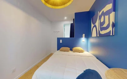 Habitación privada en 33 Cr Dr Jean Damidot, 69100 Villeurbanne, France, imagen 4 de 20