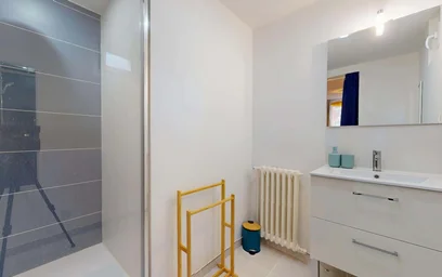 Habitación privada en 33 Cr Dr Jean Damidot, 69100 Villeurbanne, France, imagen 8 de 20
