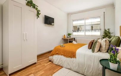 Stanza privata in Carrer d'Hercegovina, 14, Sarrià-Sant Gervasi, 08006 Barcelona, Spagna, immagine 3 di 21