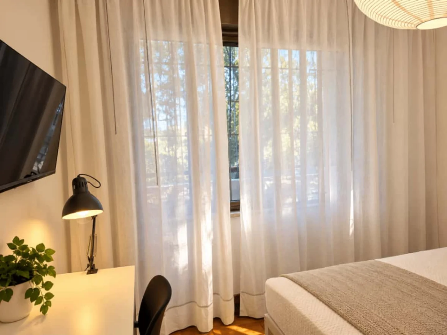 Stanza economica per studenti con ampia illuminazione in
