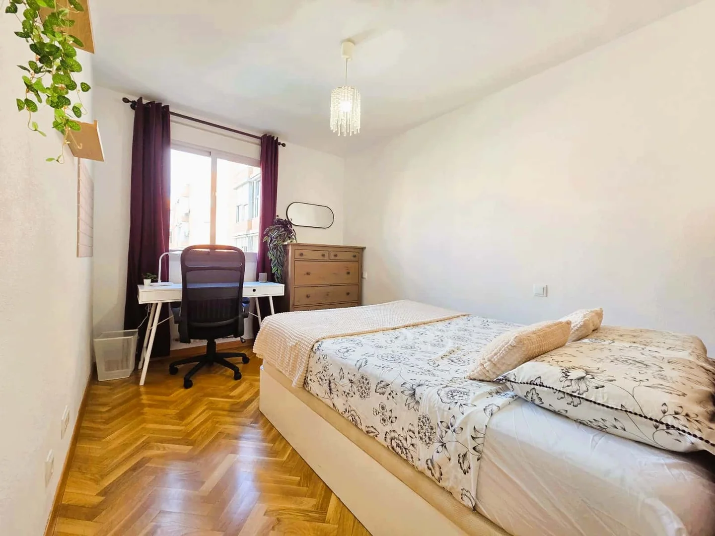 Chambre abordable pour les étudiants avec un bon éclairage dans 