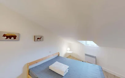 Prywatny pokój 45 Rue des 3 Rois, 86000 Poitiers, France, obraz 3 28