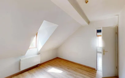 Gesamte Unterkunft in der 35 Rue Franklin, 68200 Mulhouse, France, bild 13 von 18