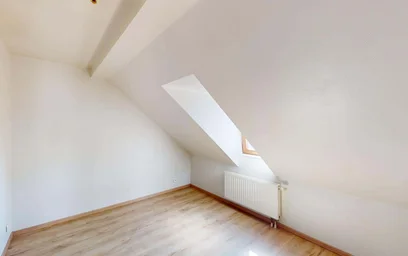 Gesamte Unterkunft in der 35 Rue Franklin, 68200 Mulhouse, France, bild 14 von 18
