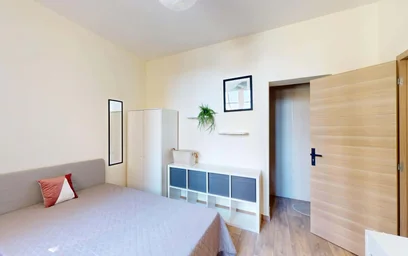 Private room at Rue du Cadran Saint-Pierre, 51100 Reims, France, image 4 of 17