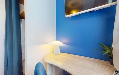 Habitación privada en 33 Cr Dr Jean Damidot, 69100 Villeurbanne, France, imagen 5 de 19