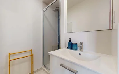 Habitación privada en 33 Cr Dr Jean Damidot, 69100 Villeurbanne, France, imagen 6 de 19
