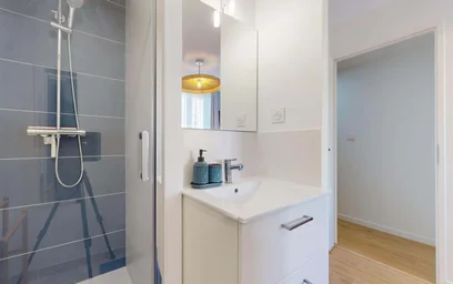 Habitación privada en 33 Cr Dr Jean Damidot, 69100 Villeurbanne, France, imagen 8 de 19