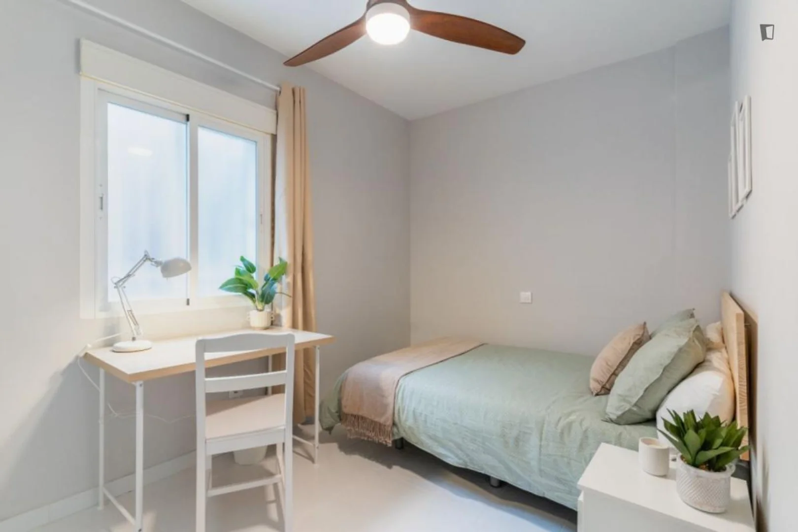 Budget-friendly student room close to campus in 