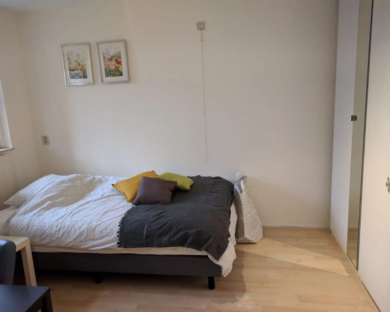 Bezahlbares Zimmer für Studenten mit ausreichender Beleuchtung in 