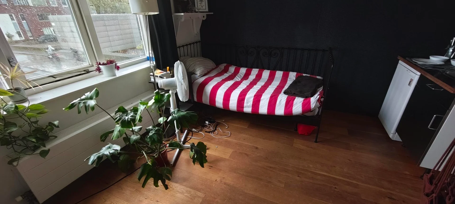 Budgetfreundliches Studentenzimmer in Campusnähe in 