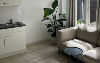Stüdyo daire konumu Springweg, 1 7 görüntüsü