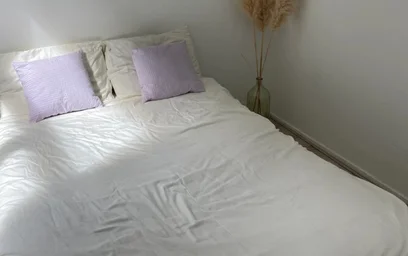 Stüdyo daire konumu Springweg, 4 7 görüntüsü