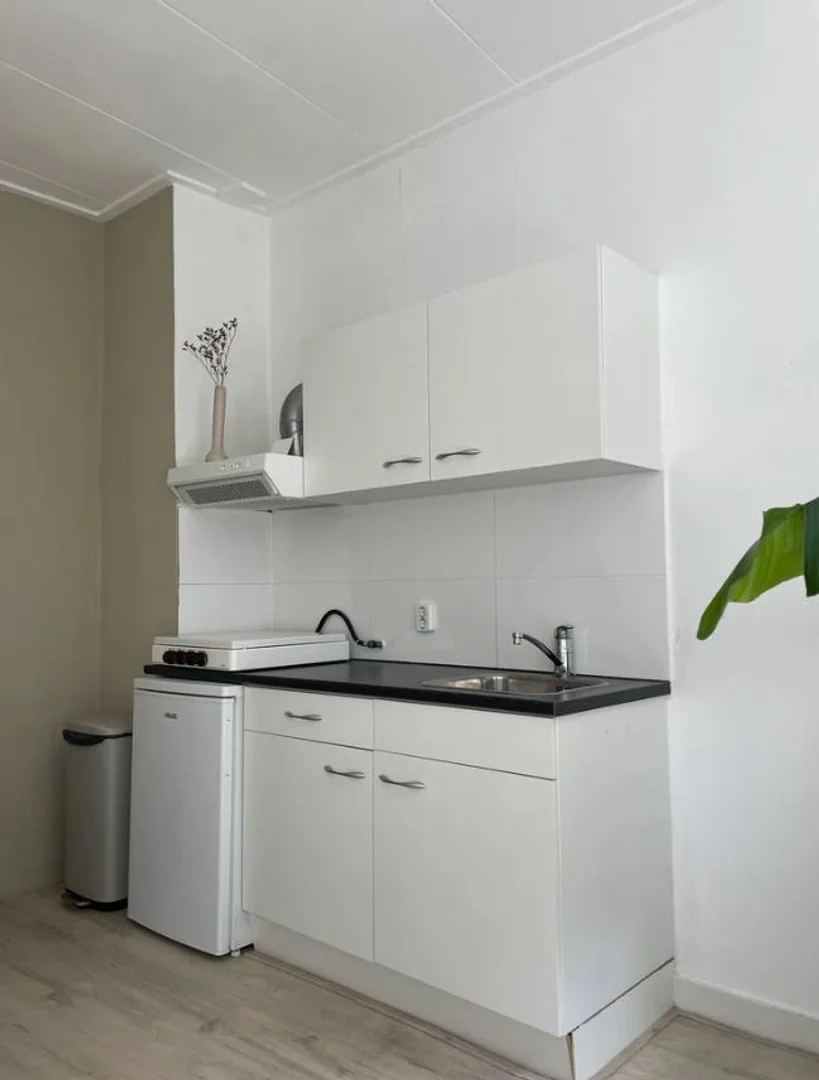  bölgesindeki öğrenciler için ideal kompakt stüdyo daire