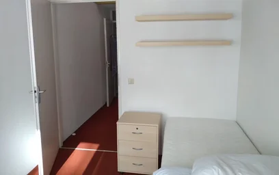 Private room at Bas Paauwestraat, IJsselmonde, image 7 of 8