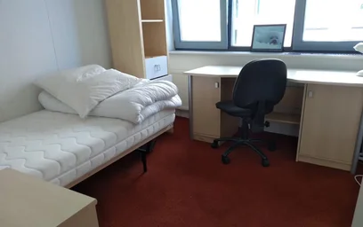 Private room at Bas Paauwestraat, IJsselmonde, image 8 of 8