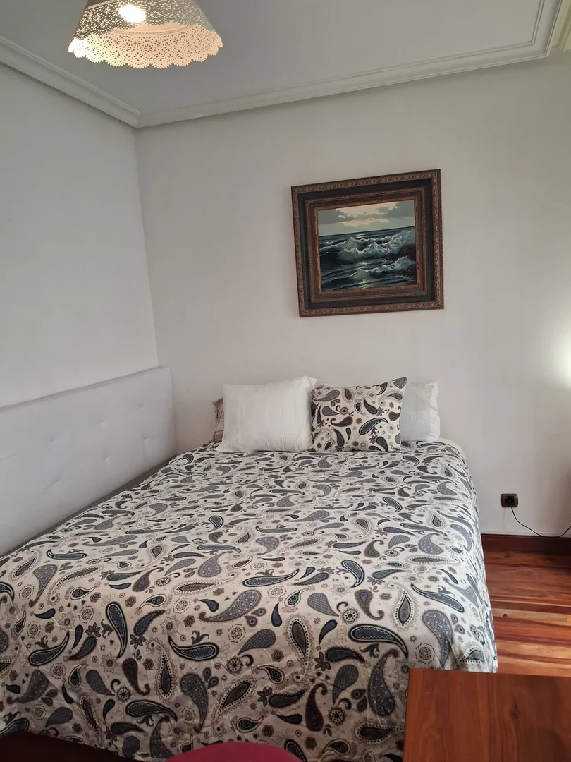 Chambre d'étudiant confortable et spacieuse dans 