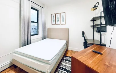 Alojamiento entero en residencia en 595 Kosciuszko Street,  4, Bushwick, New York, NY, 11221, imagen 5 de 15