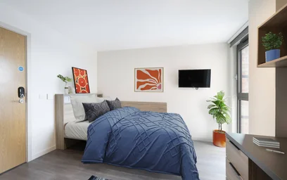 Private room in residence at 47 Kyle St, Glasgow G4 0JQ, United Kingdom, image 4 of 19
