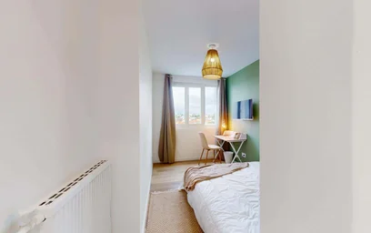 Privatzimmer in der 39 Rue Corot, 63000 Clermont-Ferrand, France, bild 2 von 20