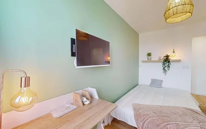 Privatzimmer in der 39 Rue Corot, 63000 Clermont-Ferrand, France, bild 6 von 20
