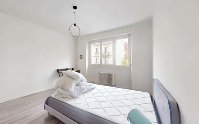 Chambre privée à 49 Bd Albert 1er, 54000 Nancy, France, image 2 de 21