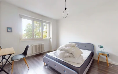 Chambre privée à 49 Bd Albert 1er, 54000 Nancy, France, image 3 de 21