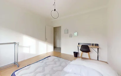 Chambre privée à 49 Bd Albert 1er, 54000 Nancy, France, image 2 de 21