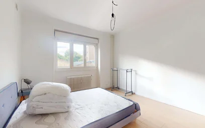 Chambre privée à 49 Bd Albert 1er, 54000 Nancy, France, image 3 de 21