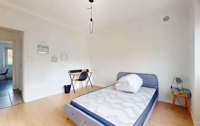 Chambre privée à 49 Bd Albert 1er, 54000 Nancy, France, image 5 de 21