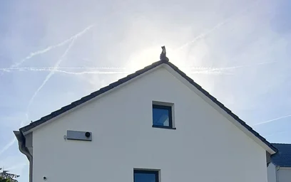 Alojamiento entero en Schützenstraße, imagen 15 de 16