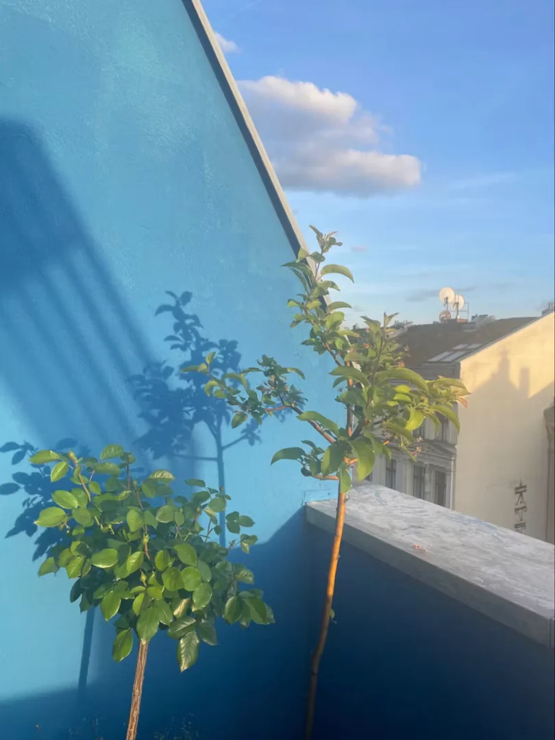 Chambre d'étudiant confortable et spacieuse dans 