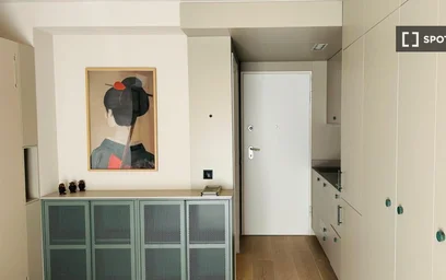 Entire apartment at Calle de Segovia, image 4 of 11