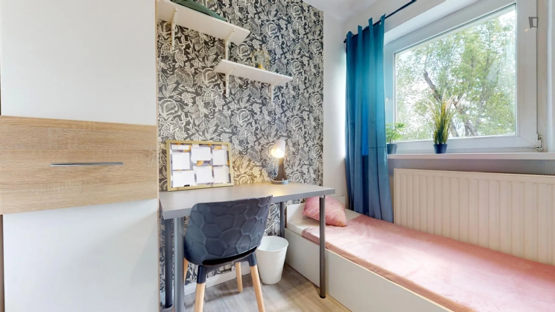 Affordable room for students with ample lighting in 