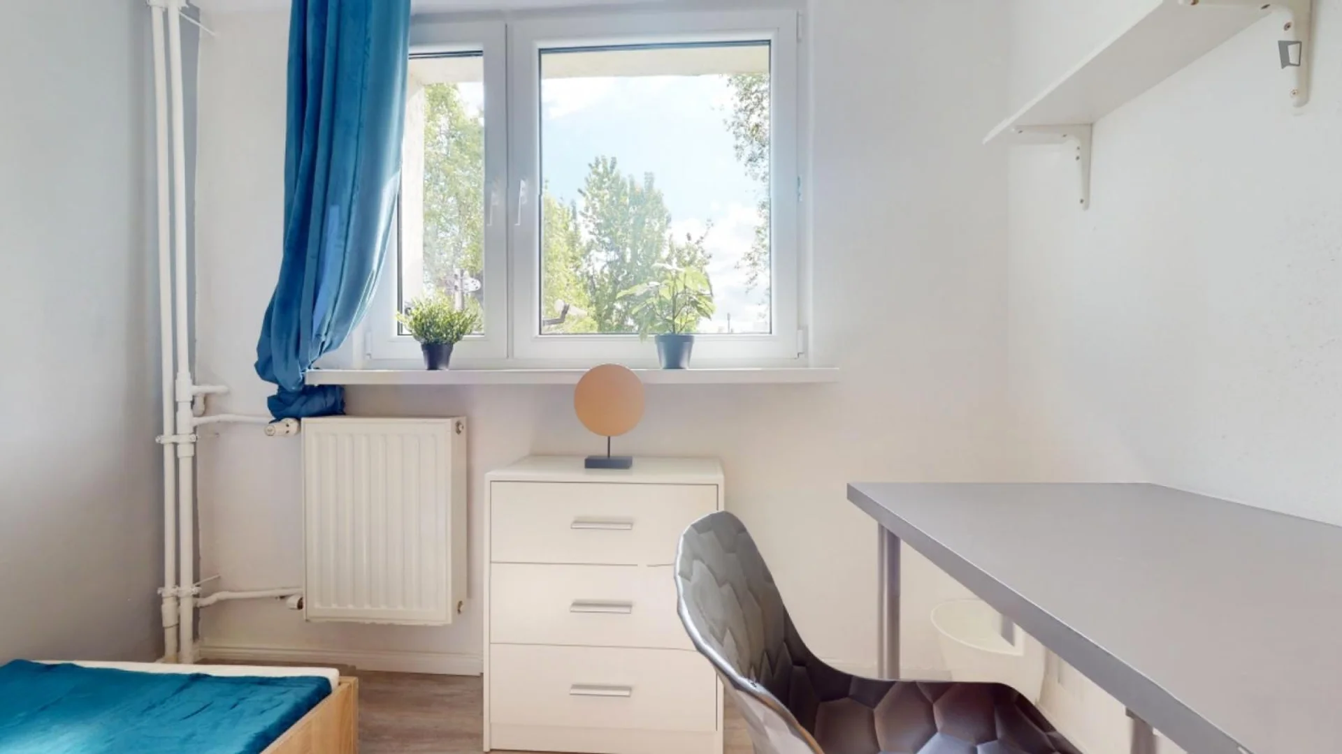 Room for rent in student apartment in , fully furnished