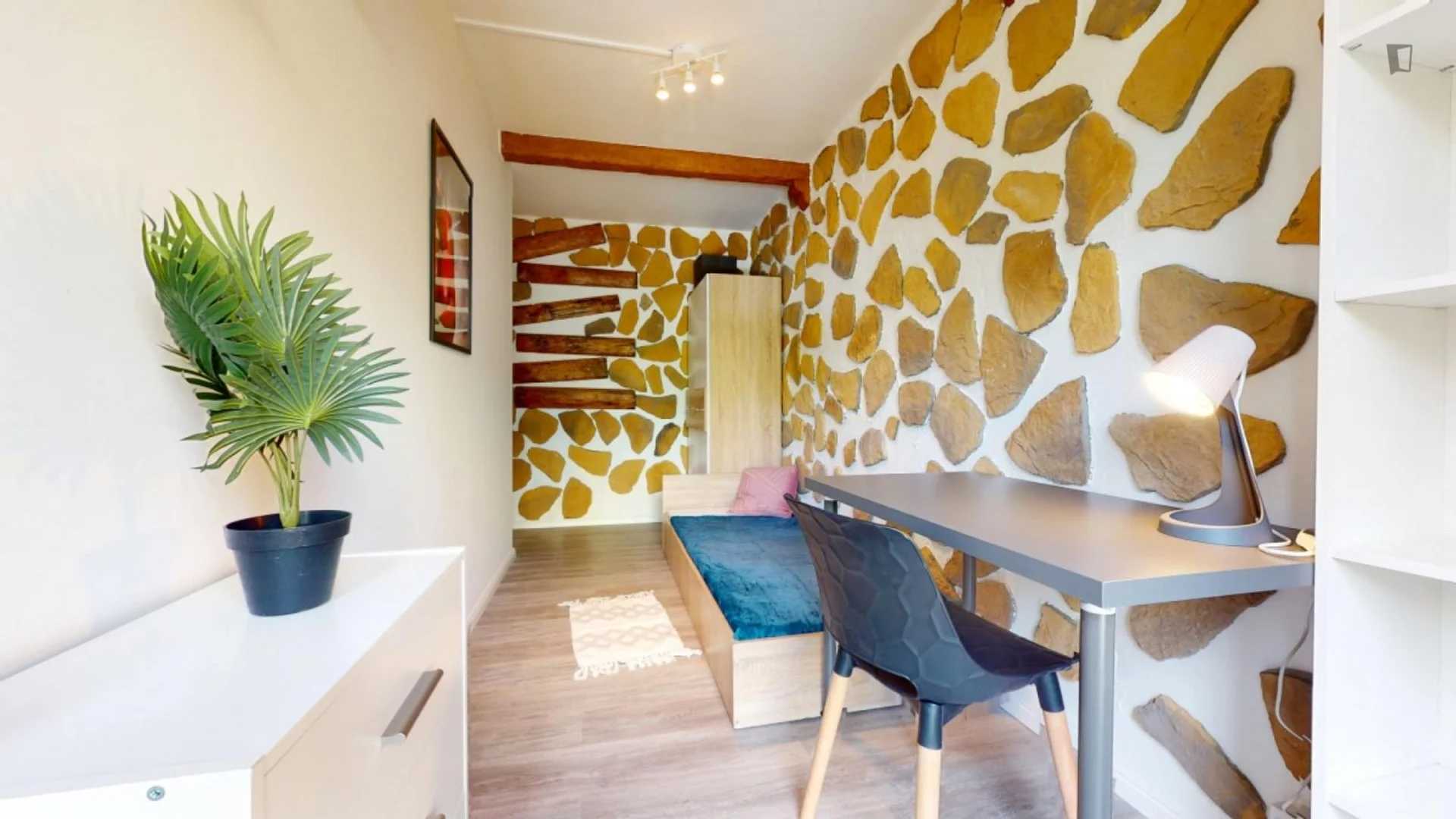 Budget-friendly student room close to campus in 