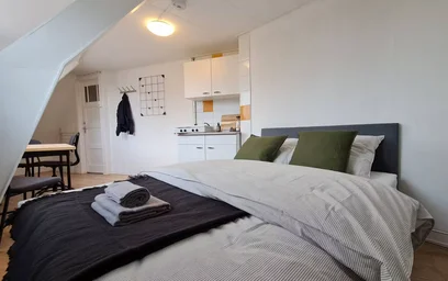 Privatzimmer in der Rhijnvis Feithstraat, Nieuw Engeland, bild 1 von 10