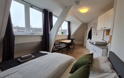 Privatzimmer in der Rhijnvis Feithstraat, Nieuw Engeland, bild 3 von 10