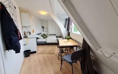 Privatzimmer in der Rhijnvis Feithstraat, Nieuw Engeland, bild 6 von 10