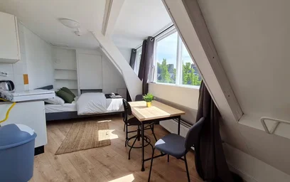 Privatzimmer in der Rhijnvis Feithstraat, Nieuw Engeland, bild 7 von 10