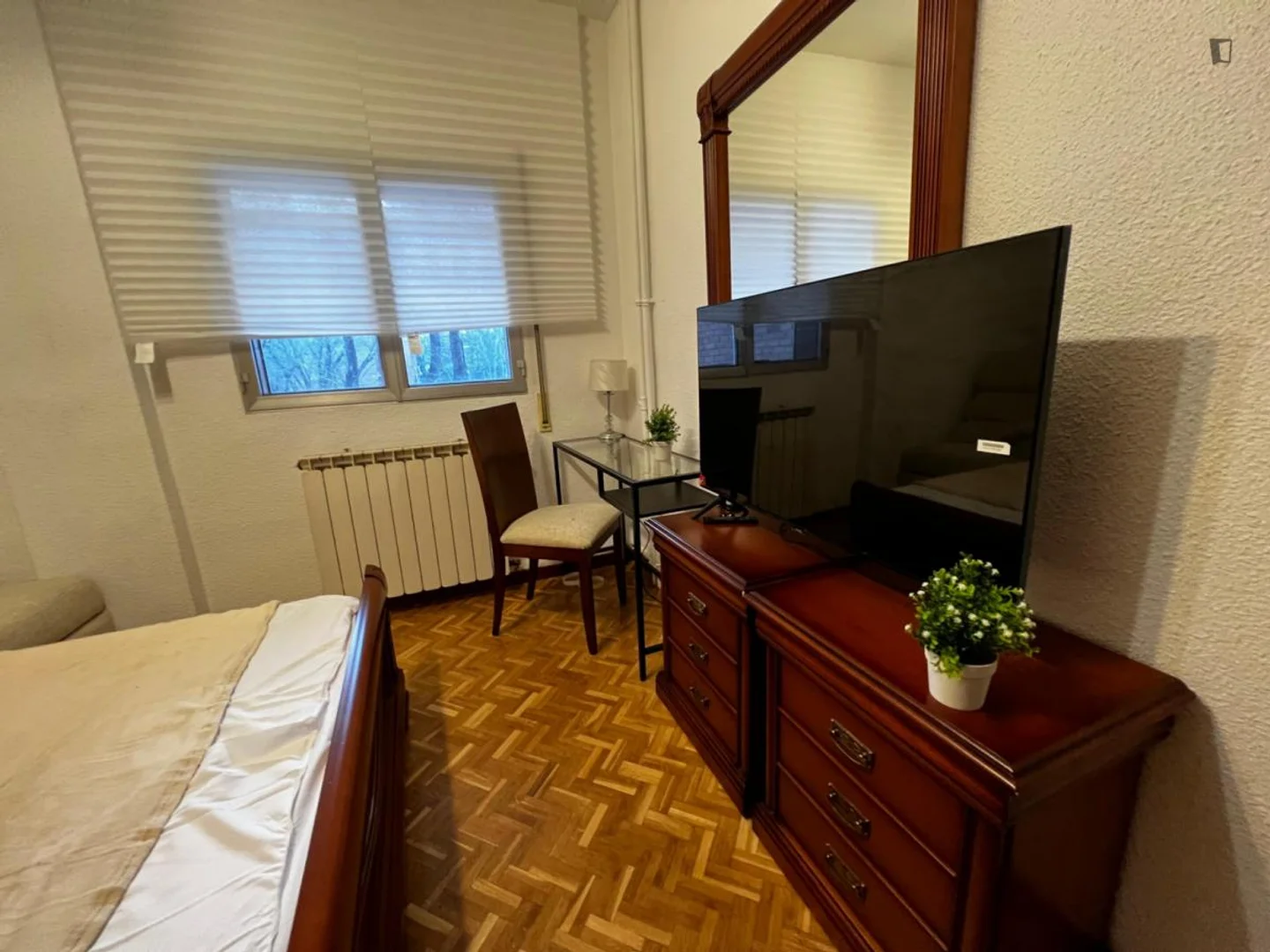 Niedrogi pokój dla studentów z dużym oświetleniem w