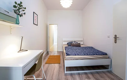 Privatzimmer in der Geschwister-Scholl-Straße, 14471 Potsdam, Germany, bild 5 von 15