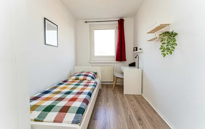 Privatzimmer in der Gluckstraße, 14480 Potsdam Südost, Germany, bild 2 von 8